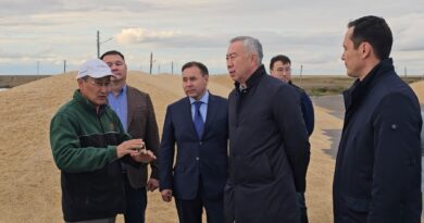 ҚАЗАҚСТАНДА АСЫЛ ТҰҚЫМДЫ МАЛ ШАРУАШЫЛЫҒЫН ДАМЫТУҒА БАҒЫТТАЛҒАН «ИГІЛІК» БАҒДАРЛАМАСЫ БАСТАУ АЛАДЫ