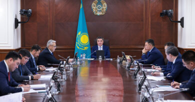 ЖІӨ ӨСІМІ – 6,3%: ҮКІМЕТ ЭКОНОМИКАЛЫҚ ӨСУ ҚАРҚЫНЫН АРТТЫРУ МІНДЕТТЕРІН АЙҚЫНДАДЫ