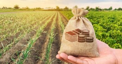 ЖАМБЫЛ ӨҢІРІНДЕ АГРОӨНЕРКӘСІПТІ ЖАҢҒЫРТУ МӘСЕЛЕСІ ҚАРАЛДЫ