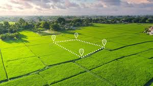 ЖАМБЫЛ ОБЛЫСЫНДА 275 ГЕКТАРҒА ЖУЫҚ  ЖЕР МЕМЛЕКЕТКЕ  ҚАЙТАРЫЛДЫ