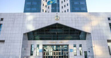 В СЕВЕРНО-КАЗАХСТАНСКОЙ ОБЛАСТИ БУДЕТ ПОСТРОЕН ЗАВОД ПО ОБРАБОТКЕ ДРЕВЕСИНЫ