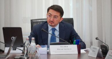 В КАЗАХСТАНЕ УСИЛЯЮТ КИБЕРБЕЗОПАСНОСТЬ: ГОСОРГАНАМ ДАНЫ ЖЕСТКИЕ ПОРУЧЕНИЯ