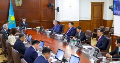ПРЕЗИДЕНТ ТАПСЫРМАСЫ: КӨКТЕМГІ ЕГІС НАУҚАНЫ ҮКІМЕТТЕ ҚАРАЛДЫ