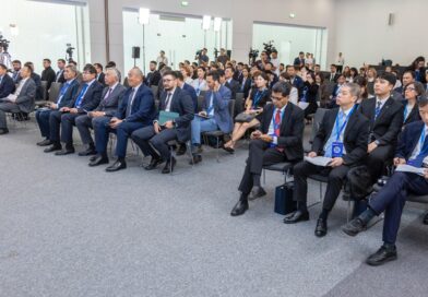 ҚАЗАҚСТАН ПРОБЛЕМАЛЫҚ АКТИВТЕРДІ БАСҚАРУДЫҢ ЖАҢА ТӘСІЛДЕРІН ҰСЫНДЫ