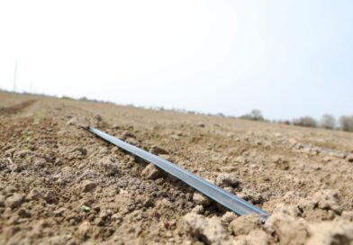 ЖАМБЫЛ ОБЛЫСЫНДА СУ ҮНЕМДЕУ ТЕХНОЛОГИЯЛАРЫ 76,8 МЫҢ ГЕКТАРҒА ЕНГІЗІЛДІ